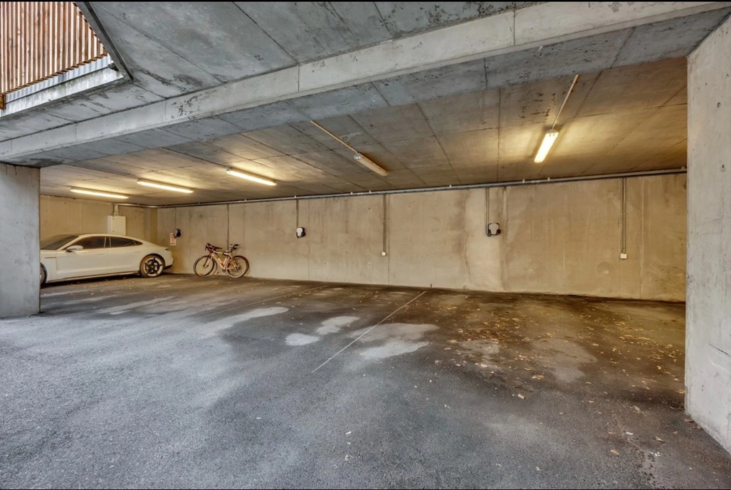 Carport med elbil-lader